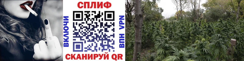 Купить наркоту Ясногорск ГАШ  Марихуана  APVP  Меф мяу мяу  Псилоцибиновые грибы  Cocaine 