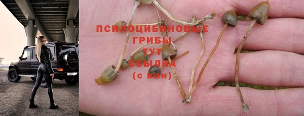 MDMA Новодвинск