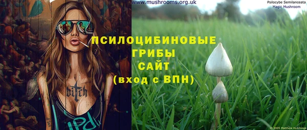 прущий лед Новозыбков
