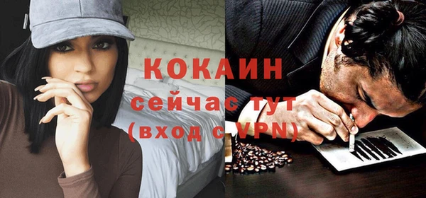 прущий лед Новозыбков