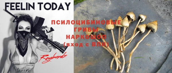 прущий лед Новозыбков