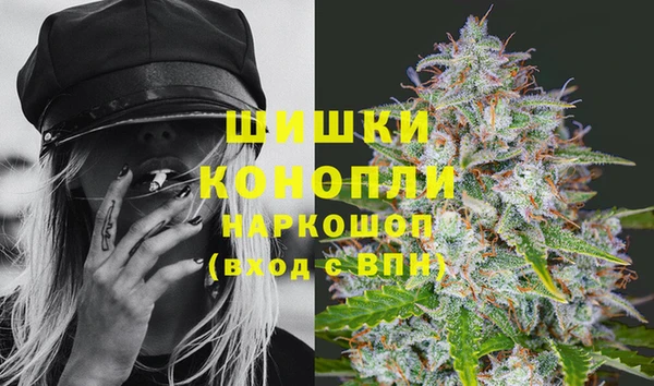 прущий лед Новозыбков