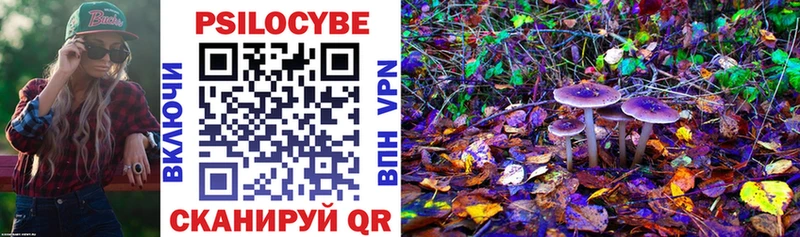 Псилоцибиновые грибы мицелий  гидра вход  Ясногорск 